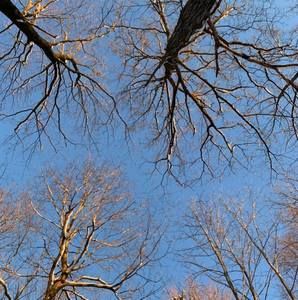 Meet your Posher, Kai